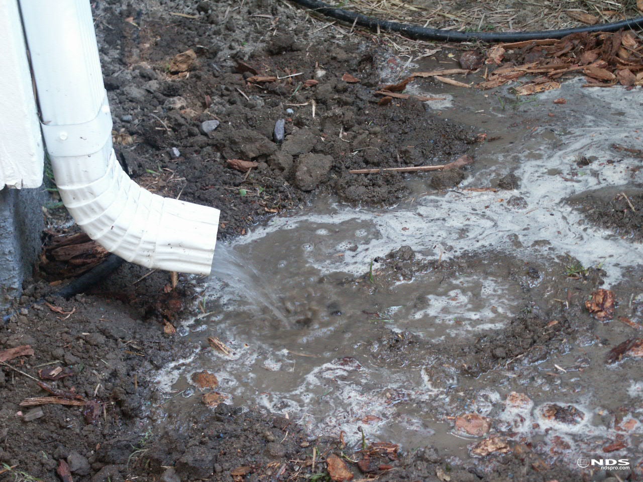 Downspout Runoff