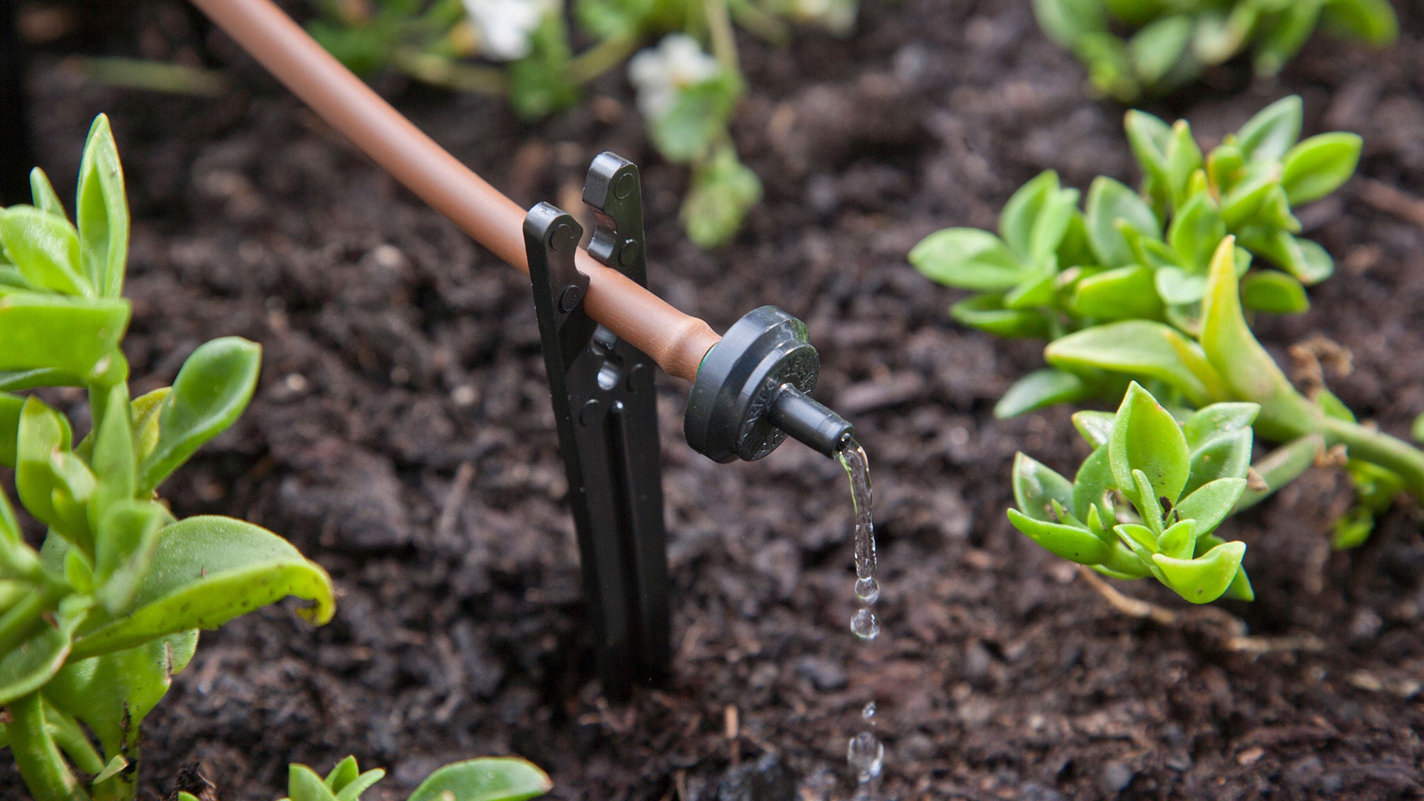 Water saving drip irrigation